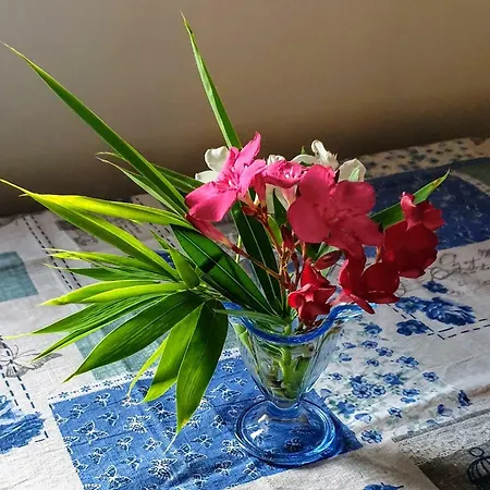 Apartment Farm House Castelmontioni *